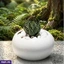 Home Decor and Accessories ef_pc_home0v2762pod00096 in Sri Lanka