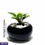 Home Decor and Accessories ef_pc_home0v2762pod00098 in Sri Lanka