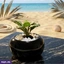 Home Decor and Accessories ef_pc_home0v2762pod00098 in Sri Lanka