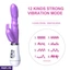 Vibrators ef_pc_adul0v2810p00465 in Sri Lanka