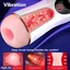 Male Pleasure Toys ef_pc_adul0v2810p00468 in Sri Lanka