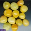 VEGETABLES ef_pc_vege0v5225pod00005 in Sri Lanka