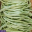 VEGETABLES ef_pc_vege0v5225pod00010 in Sri Lanka