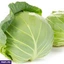 VEGETABLES ef_pc_vege0v5225pod00020 in Sri Lanka