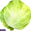 VEGETABLES ef_pc_vege0v5225pod00020 in Sri Lanka