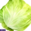 VEGETABLES ef_pc_vege0v5225pod00020 in Sri Lanka