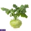 VEGETABLES ef_pc_vege0v5225pod00022 in Sri Lanka