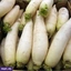 VEGETABLES ef_pc_vege0v5225pod00024 in Sri Lanka