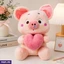 Soft Toys ef_pc_soft0v5226p00008 in Sri Lanka