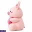 Soft Toys ef_pc_soft0v5226p00008 in Sri Lanka
