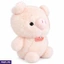 Soft Toys ef_pc_soft0v5226p00025 in Sri Lanka