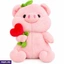 Soft Toys ef_pc_soft0v5226p00026 in Sri Lanka