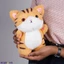 Softtoy softtoy001224 in Sri Lanka