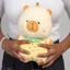 Softtoy softtoy001254 in Sri Lanka