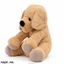 Softtoy softtoy001308 in Sri Lanka