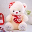 Softtoy softtoy001087 in Sri Lanka