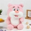 Softtoy softtoy001217 in Sri Lanka