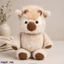 Softtoy softtoy001261 in Sri Lanka