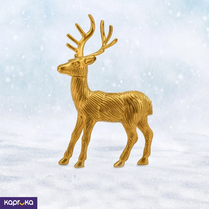 Home Decor and Accessories ef_pc_home0v18pod00514p in Sri Lanka