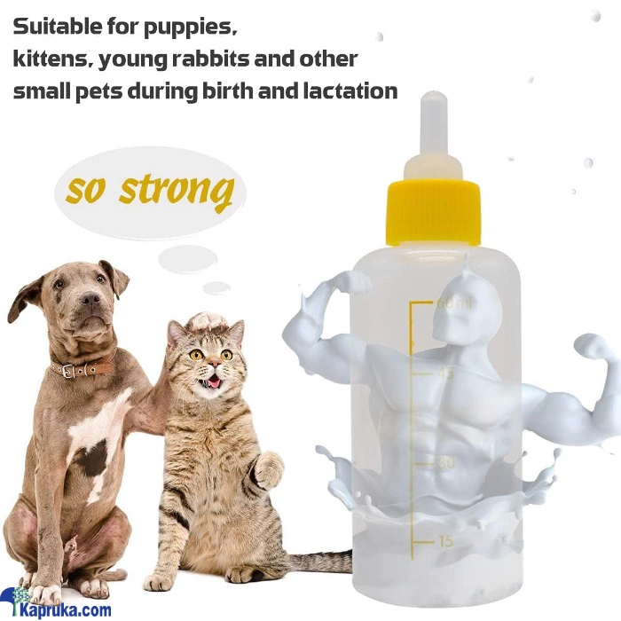 PET HEALTH AND GROOMING ef_pc_petc0v671p00013 in Sri Lanka