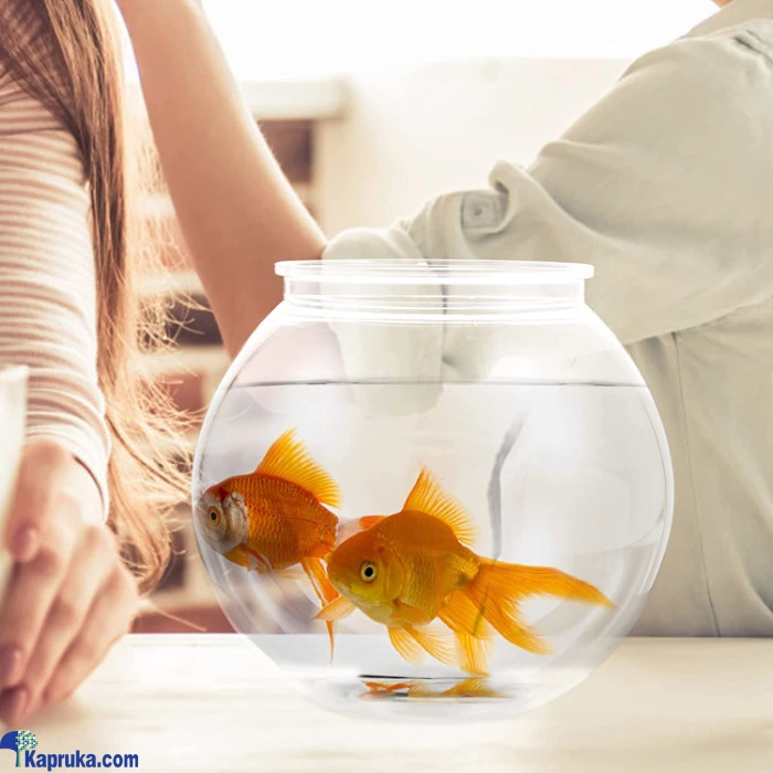 PET ACCESSORIES ef_pc_petc0v671p00030 in Sri Lanka