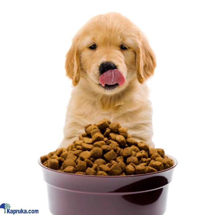 FOOD AND TREATS ef_pc_petc0v671p00064 in Sri Lanka