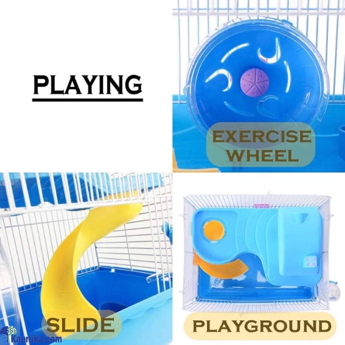 PET ACCESSORIES ef_pc_petc0v671p00072 in Sri Lanka