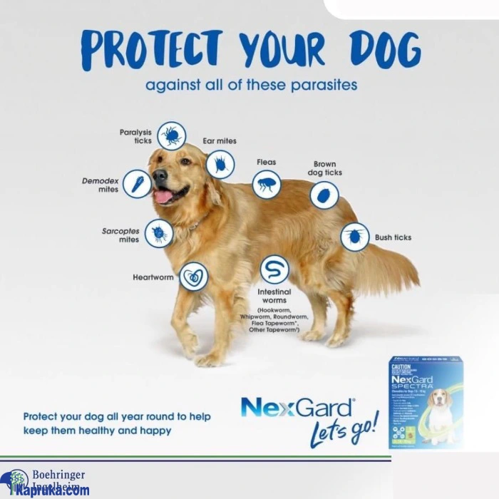 PET HEALTH AND GROOMING ef_pc_petc0v671pod00078 in Sri Lanka