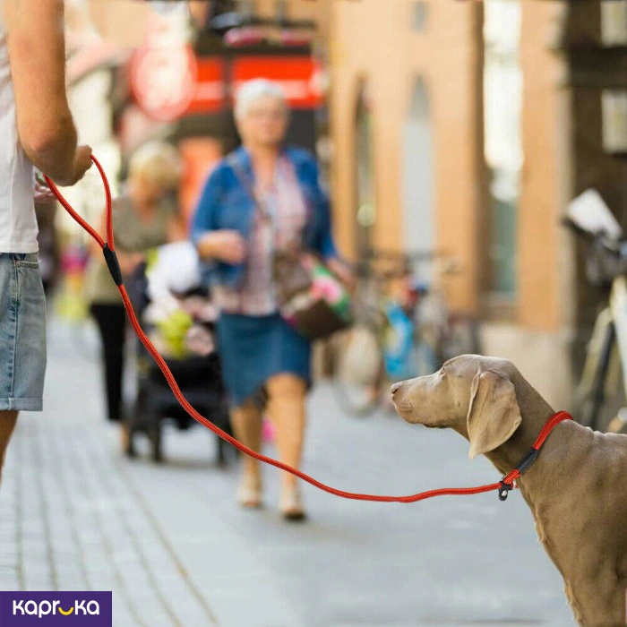 PET ACCESSORIES ef_pc_petc0v671p00099 in Sri Lanka