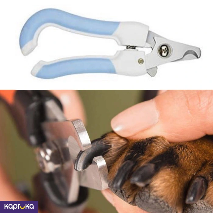 PET HEALTH AND GROOMING ef_pc_petc0v671p00149 in Sri Lanka