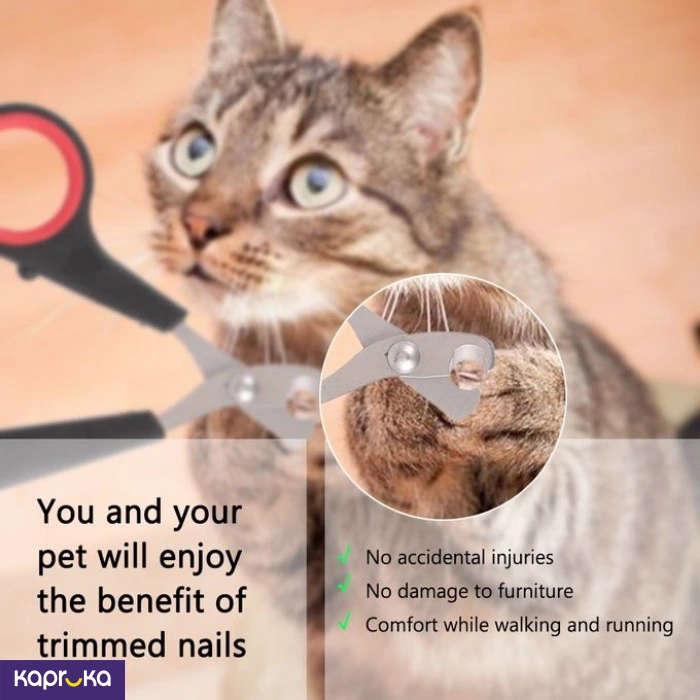 PET HEALTH AND GROOMING ef_pc_petc0v671p00151 in Sri Lanka