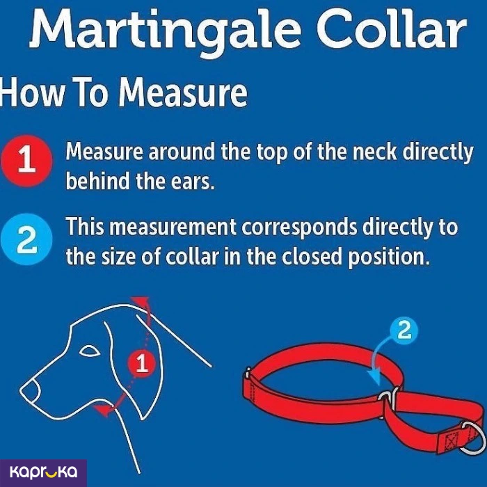 PET ACCESSORIES ef_pc_petc0v671p00155 in Sri Lanka