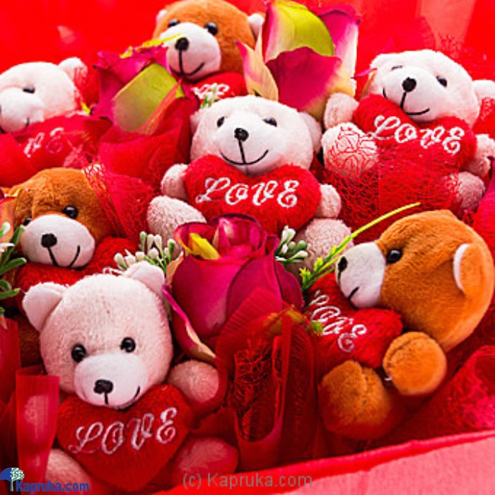 Teddy Bunch ef_pc_soft0v571pod00003 in Sri Lanka