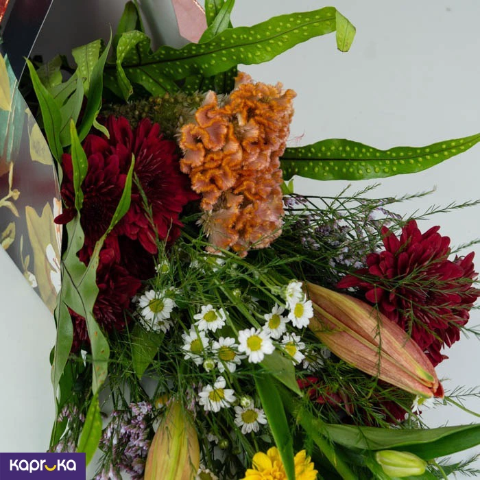 Shirohana ef_pc_flow0v841pod00075p in Sri Lanka