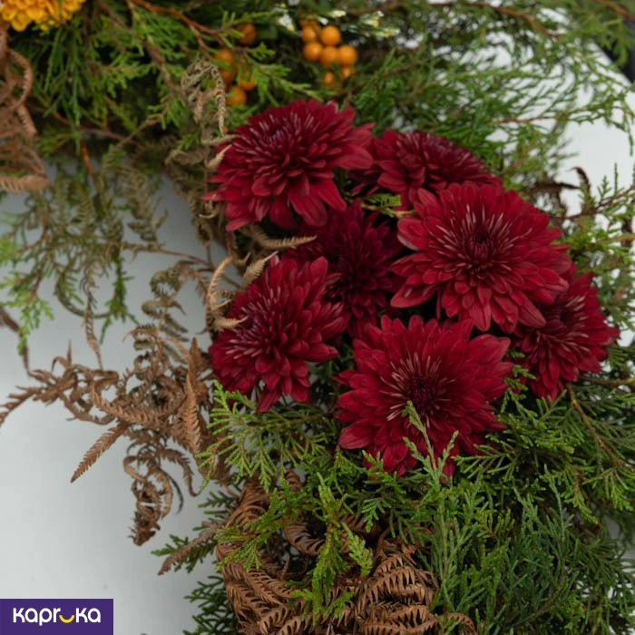 Shirohana ef_pc_flow0v841pod00077p in Sri Lanka