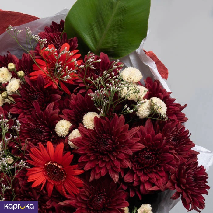 Shirohana ef_pc_flow0v841pod00089p in Sri Lanka