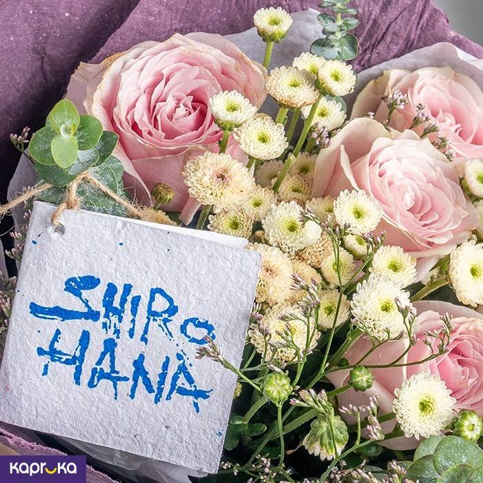 Shirohana ef_pc_flow0v841pod00091p in Sri Lanka