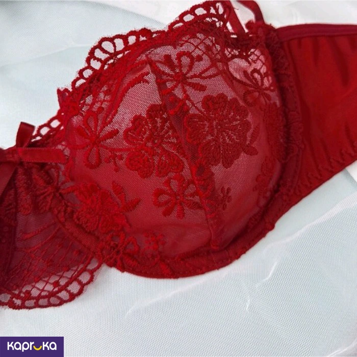 Seductive Burgundy Lace Embroidered Lingerie Set For Women 2pc Size M