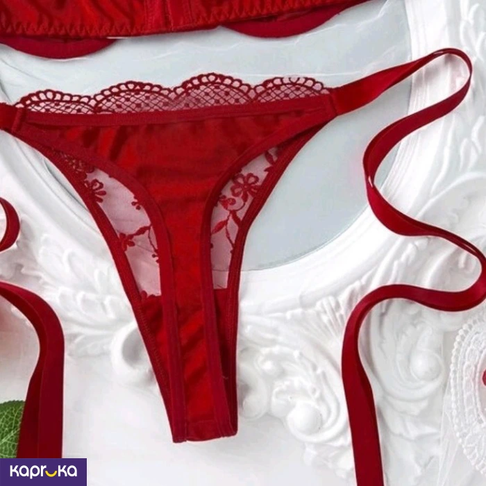 Seductive Burgundy Lace Embroidered Lingerie Set For Women 2pc Size M