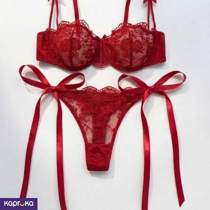Seductive Burgundy Lace Embroidered Lingerie Set For Women 2pc Size M