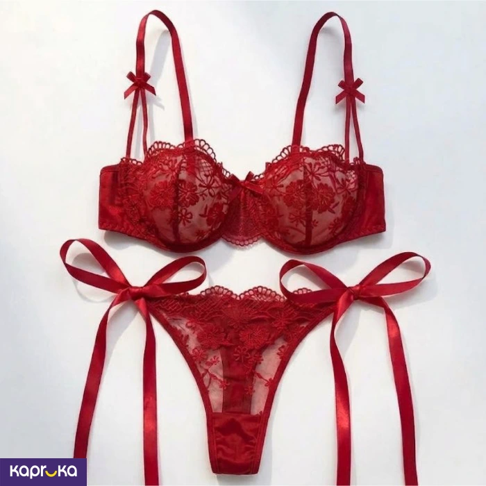 Seductive Burgundy Lace Embroidered Lingerie Set For Women 2pc Size M