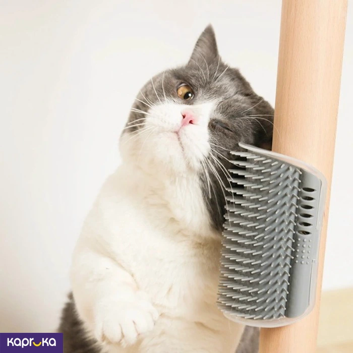 Cat Dog Pet Self Groomer Wall Corner Massage Comb Grooming Tool