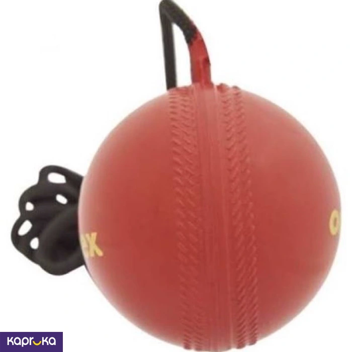 Cricket Practice Ball