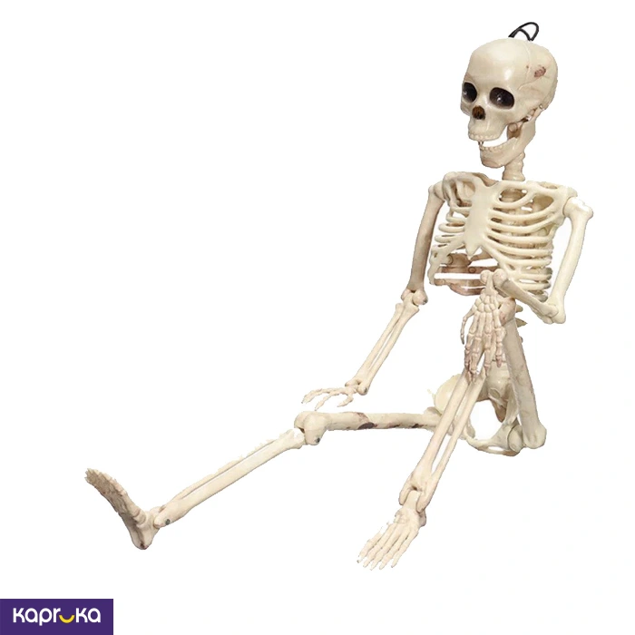 Supplies ef_pc_part0v1767pod00067p in Sri Lanka