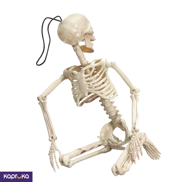 Supplies ef_pc_part0v1767pod00067p in Sri Lanka