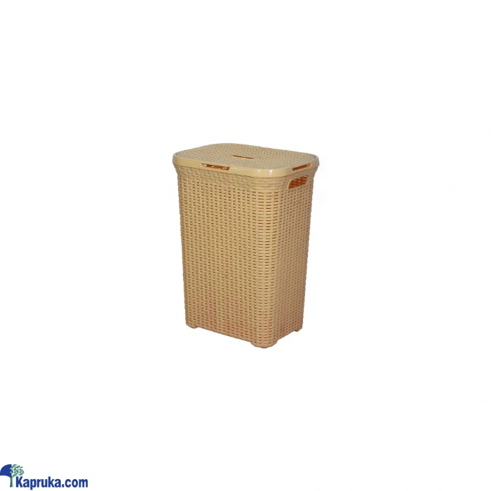 Laundry and Cleaning ef_pc_home0v1839pod00015 in Sri Lanka