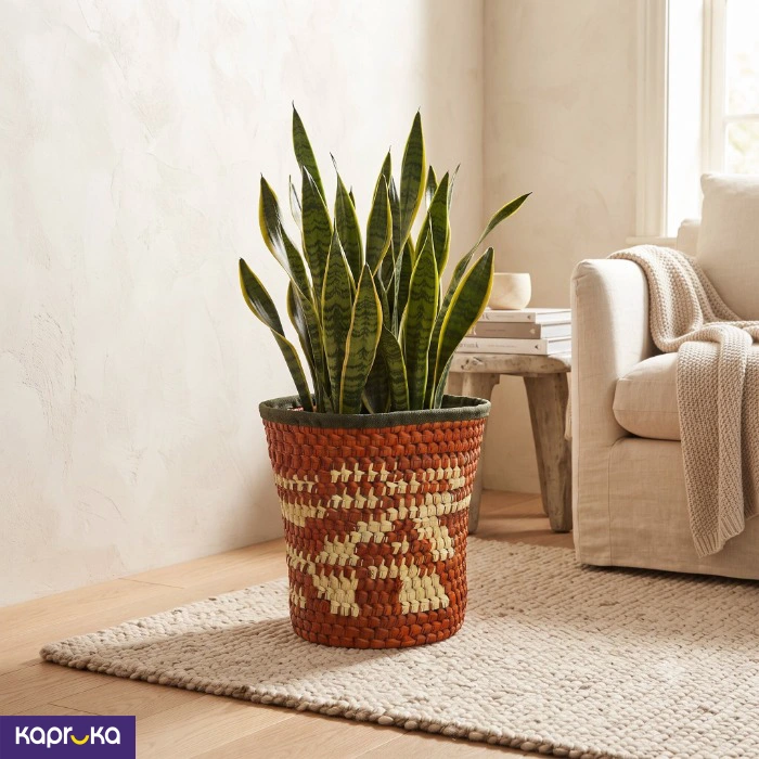 Palmyra Leaf Multi Purpose Bin And Plant Pot Cover