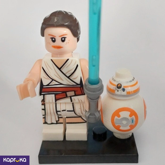 Rey Skywalker With Bb8