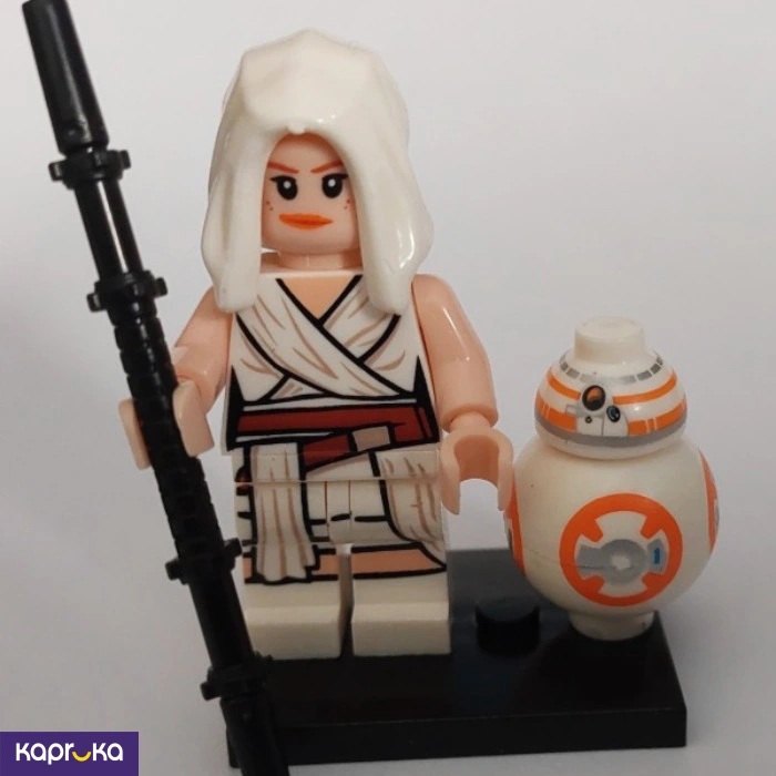 Rey Skywalker With Bb8