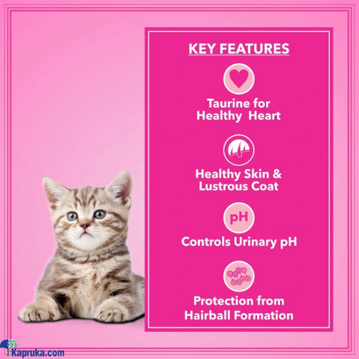 FOOD AND TREATS ef_pc_petc0v1831p00099 in Sri Lanka